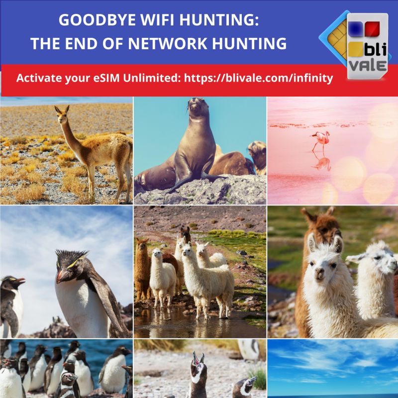 blivale_image_en_goodbye wifi hunting_800x800 GOODBYE WIFI HUNTING: THE END OF NETWORK HUNTING